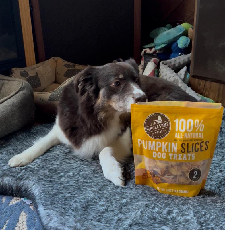 My dog liked these