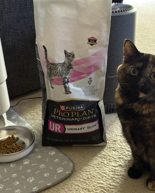 If Pepper’s happy, I’m happy.