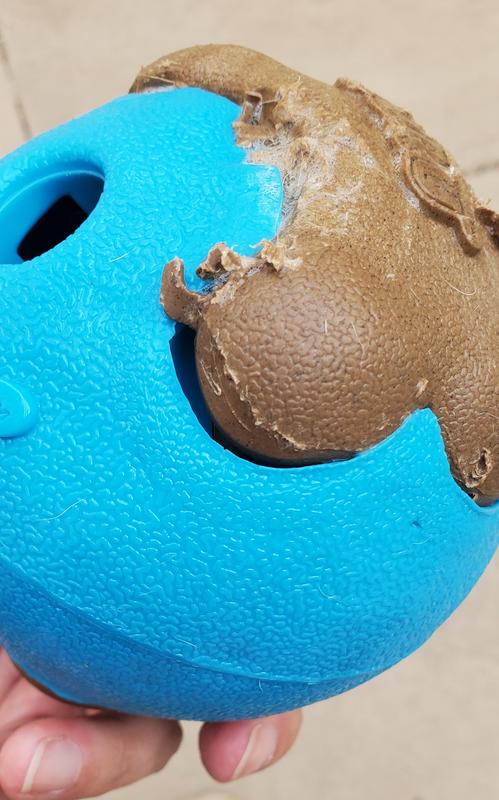 After 15 minutes of use, bone being prying out and bone chomped