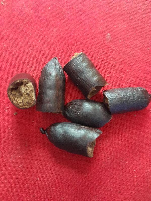 Great for Reward Treats