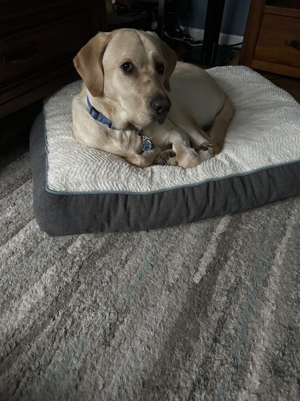 Frisco Herringbone Pillow Dog & Cat Bed