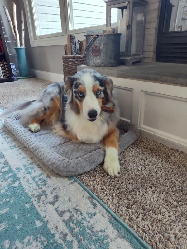 Holding onto it so it's not over too fast