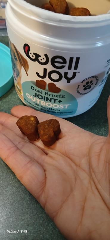 These are the nibbles, container is about 3.5 inches tall, they aren't big.