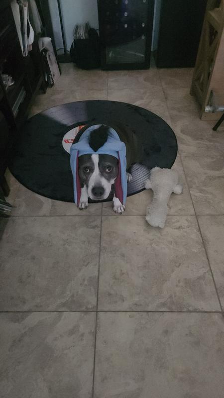 Our favorite donkey!