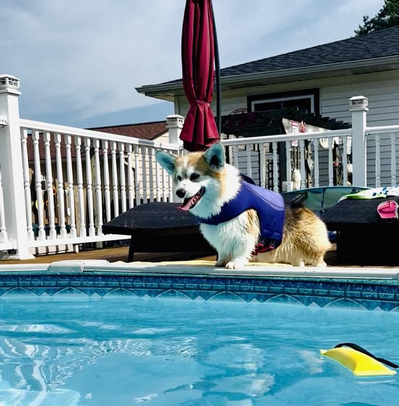 Gracie Poolside with her SPF!