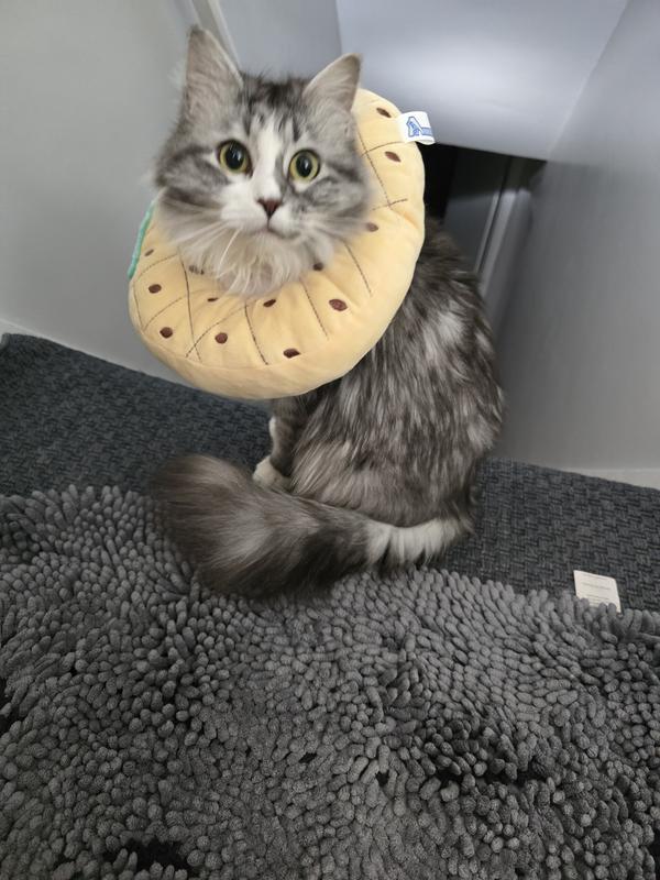 Poor lady