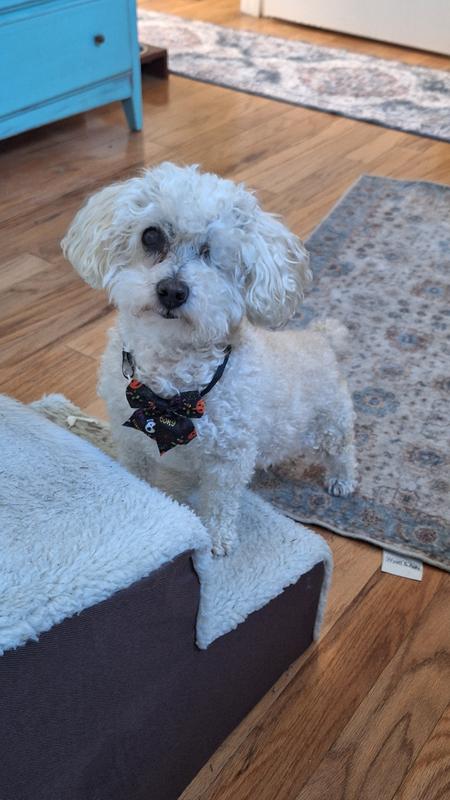 Missing link made me feel and look so much better