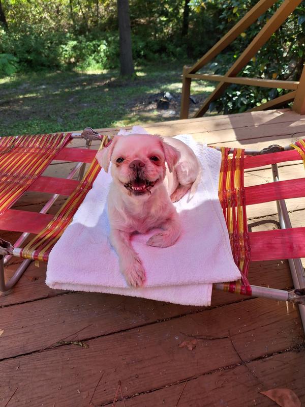 My girl lounging, look at that beautiful smile
