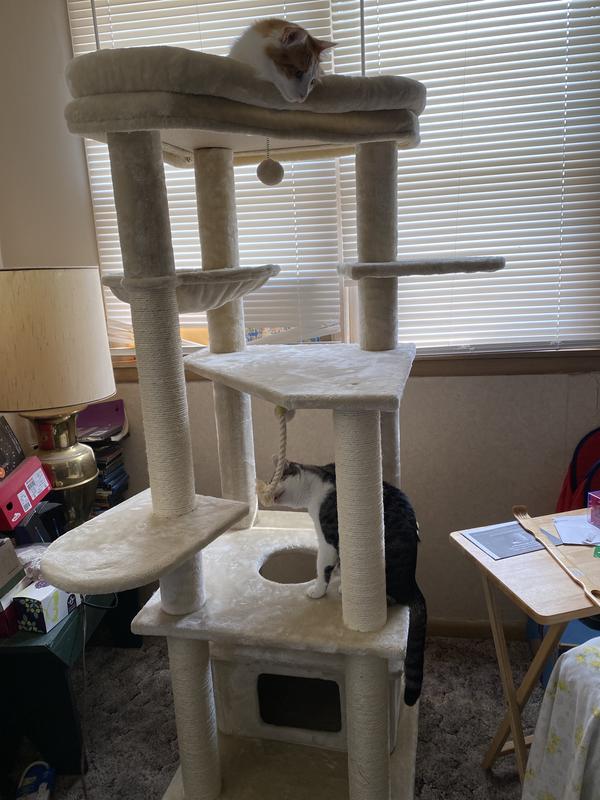 FRISCO 65in XXL Heavy Duty Cat Tree reviews