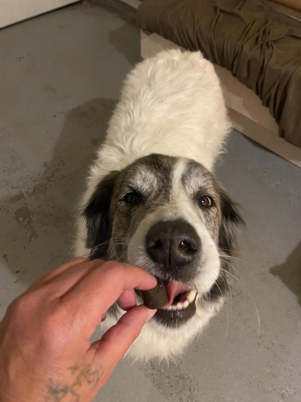 Lebowski (the dude) loves them!