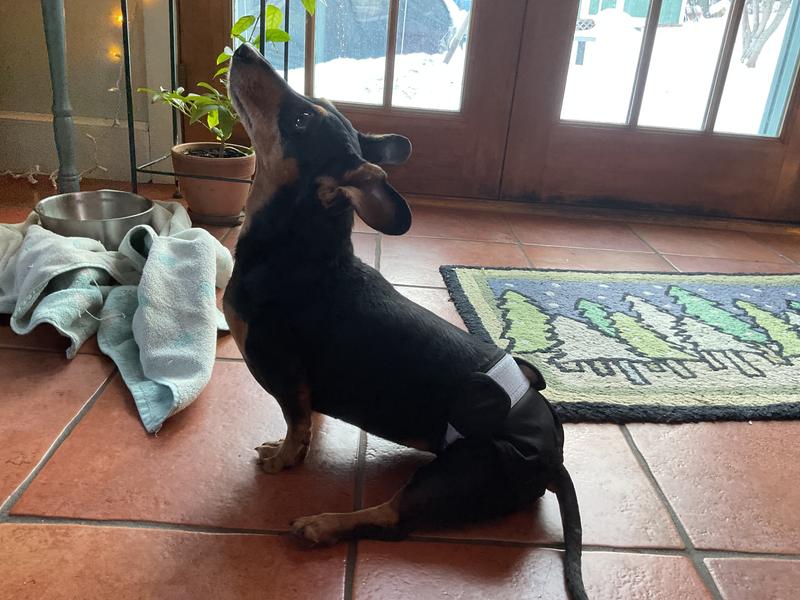 My pants match my coat ;)