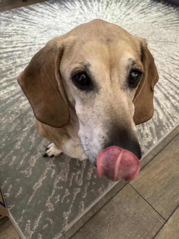 That’s a tasty snack!