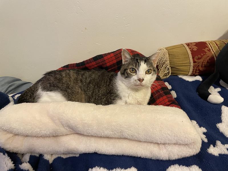 It’s good to sit on.