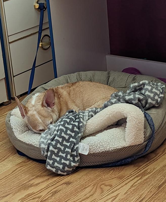 Precious Tails Herringbone Canvas Fleece Deep Dish Covered Cat & Dog Bed