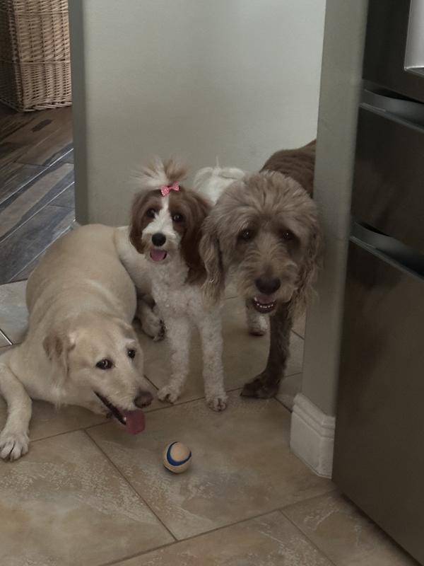 Three out of four of the Masters of our universe