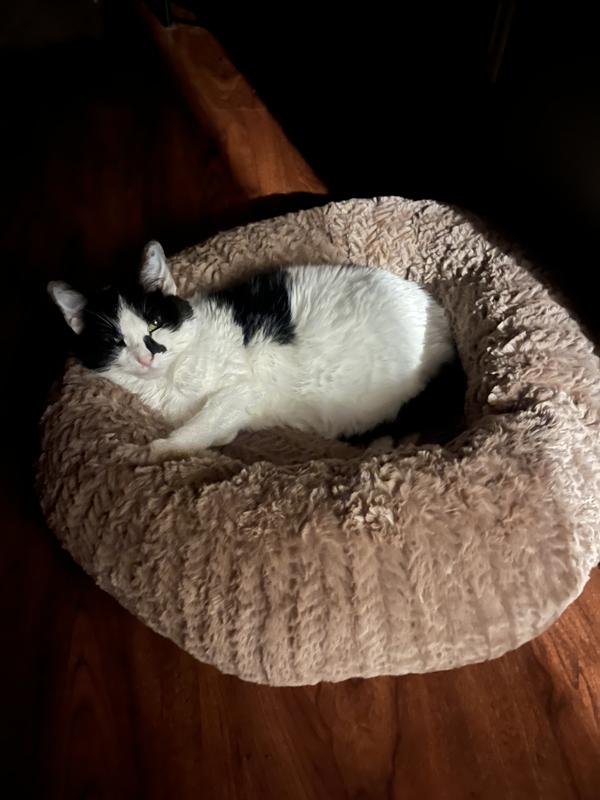 This bed is a comfy win!