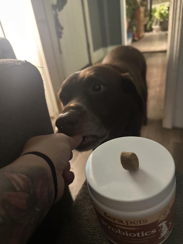 Sammy says deeelish!