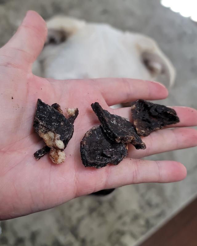 Detail shot for size, texture