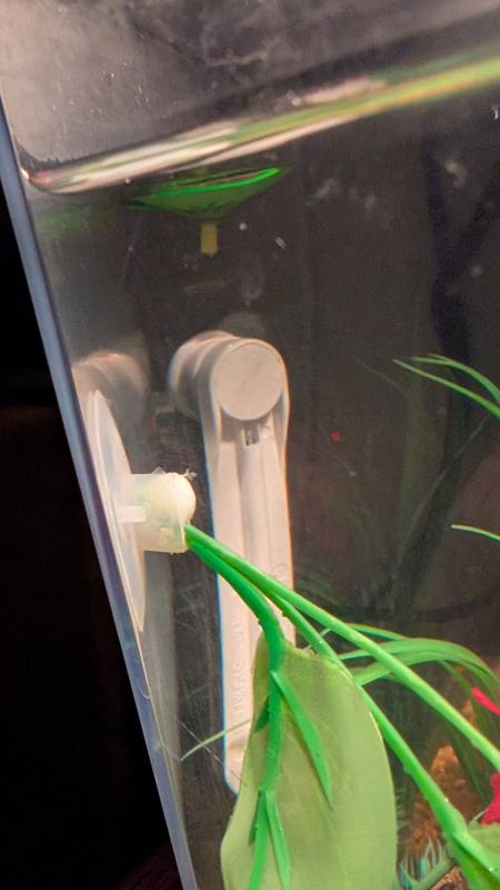 Cloudy suction after days.