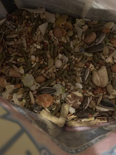 Inside view of food.