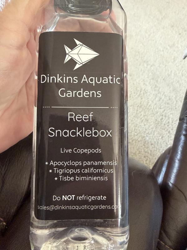 Dinkin’s Reef Snacklebox