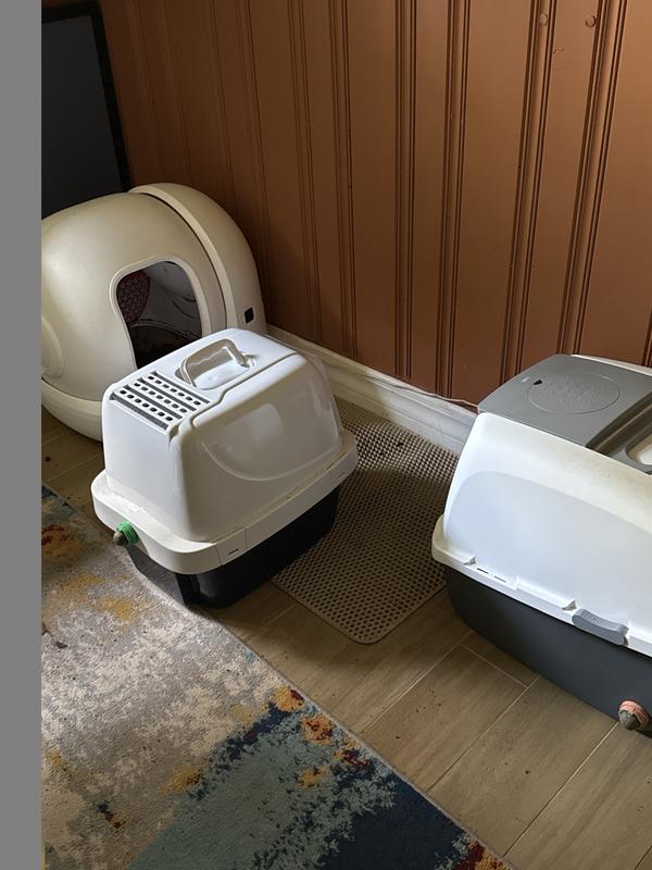 haven’t cleaned the floors in a week, little traction.