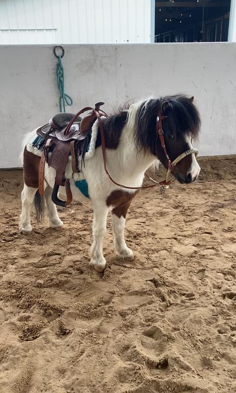 Hatchet Approved Treat!
