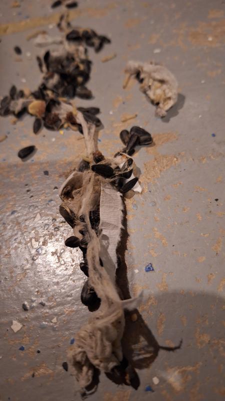 This is the webbing I removed