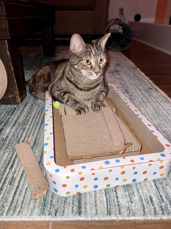 You can see how the top layer came off in a few of these photos.