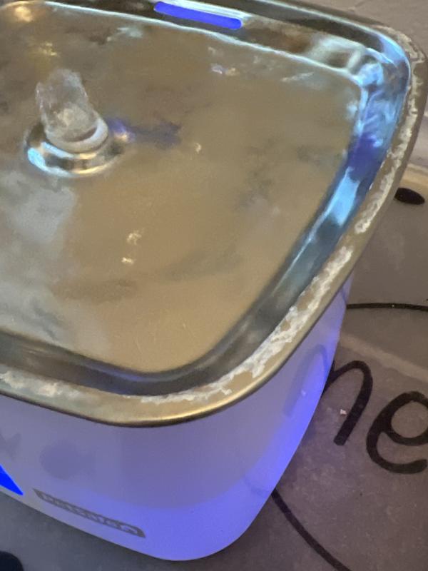 Not Stainless Steel