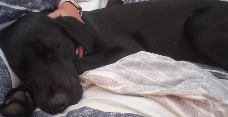 Resting after her hospital stay