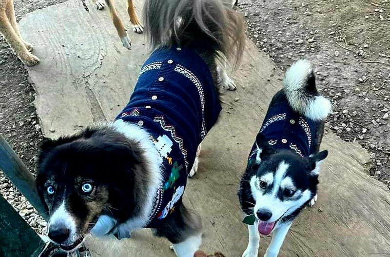 Frisco Jolly Snowman Dog & Cat Faux Cardigan Sweater