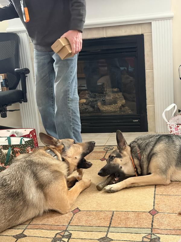 Chewing the day away!