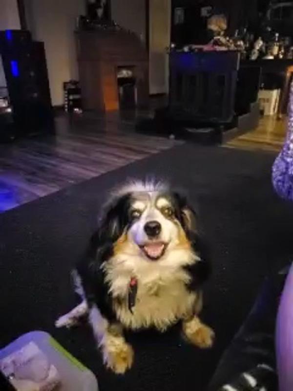 Let the face and eye wiping begin.