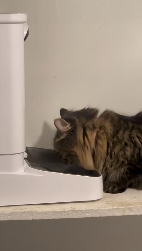 my tiny girl, eating in peace for once