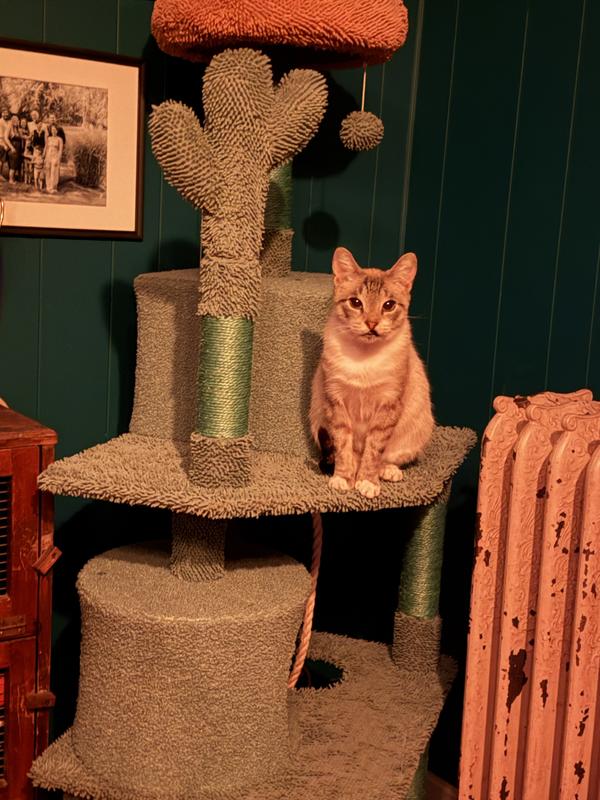 Sweet angel baby on tier 2.