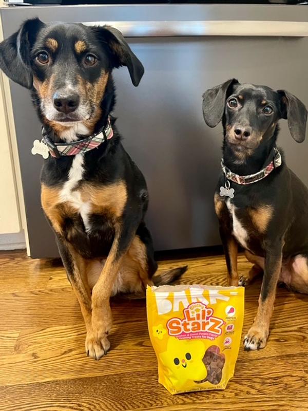 Eagerly awaiting treats!