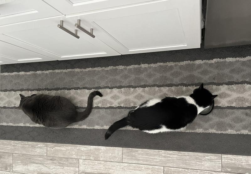 Meal time is happy time!