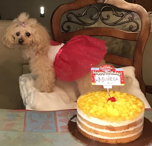 Muneca on her 14th Birthday!