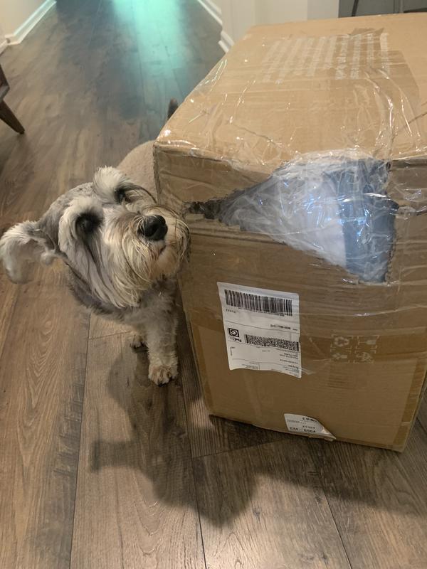 Perfectly packed for shipping.