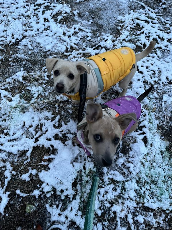 Keeping my babies warm