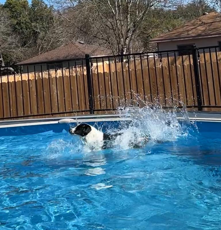 Big Girl Diving in for Her Disc