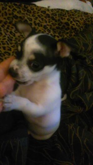 Mystique 6 months ago
