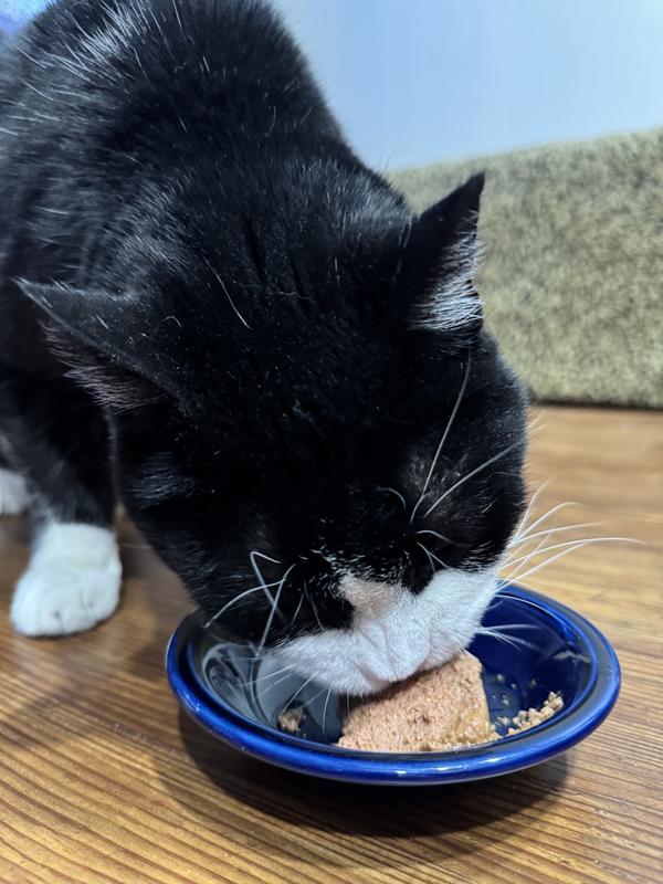 Rufus digging in!