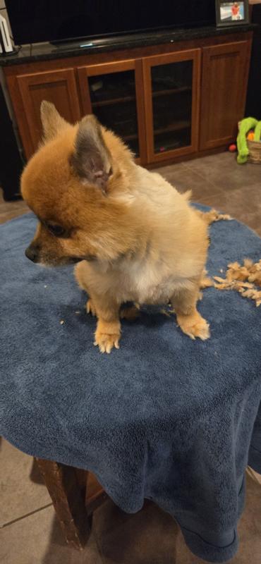 Jax loving his fresh hair cut