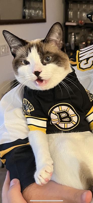 Cat Jersey 