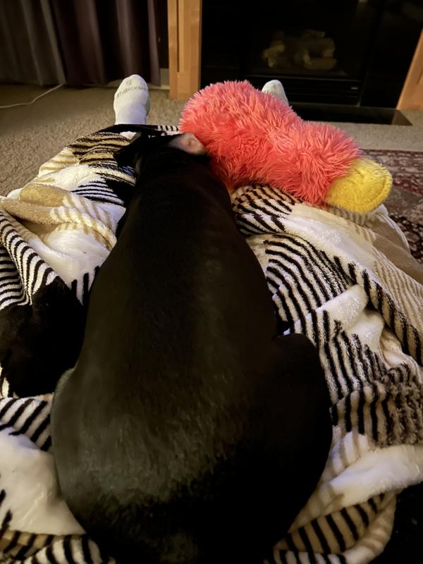 Lazy Sunday