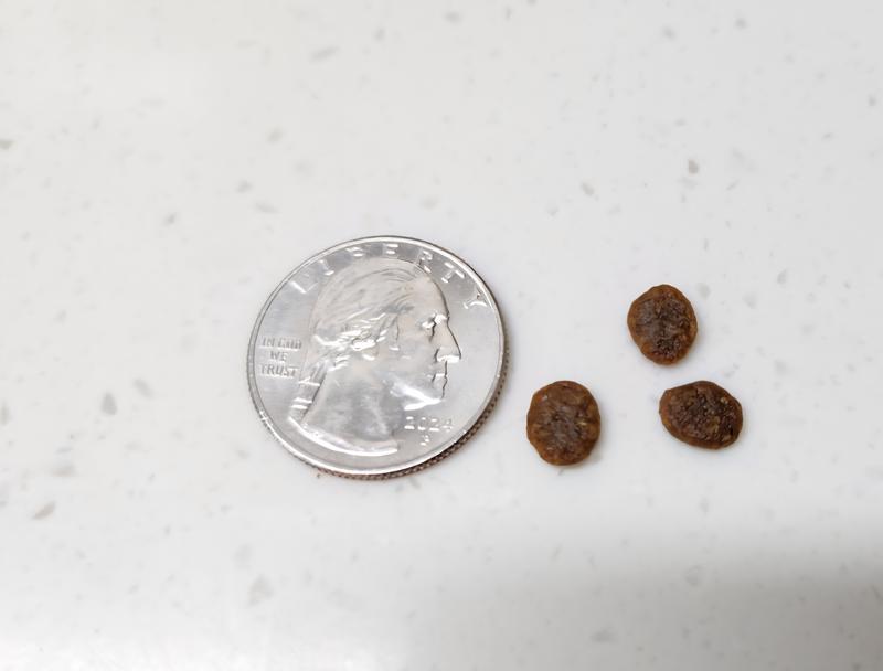 The morsels are small enough to be appropriate for any size dog