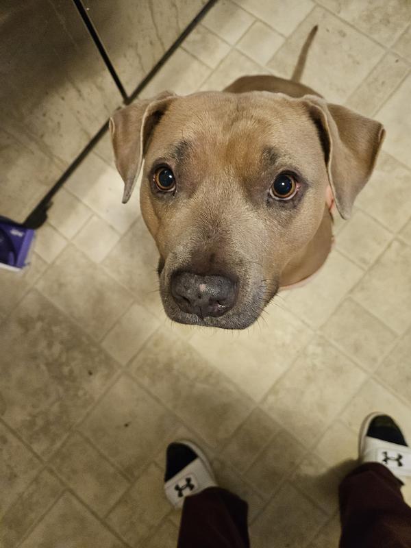 Did you say "treat"?