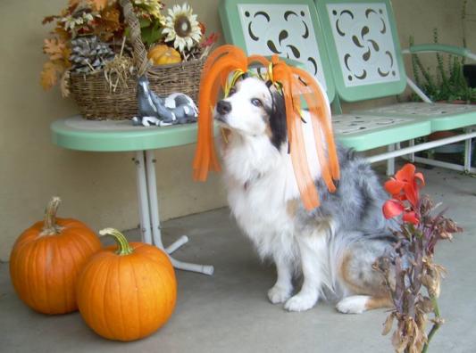 Getting ready for fall